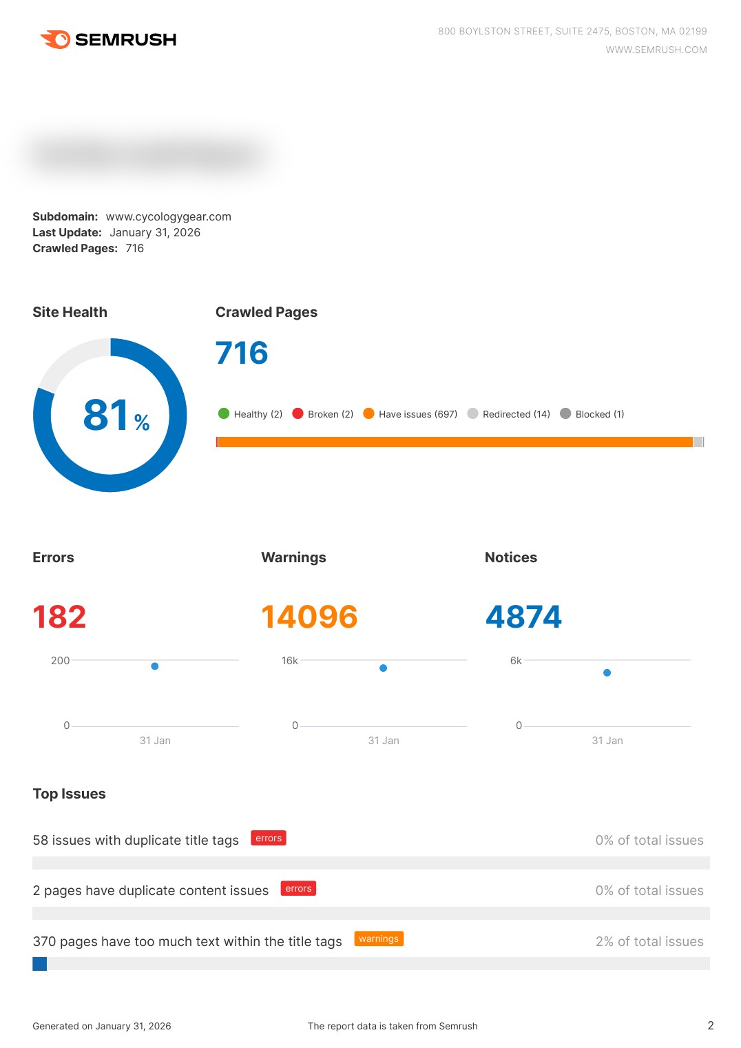 Large e-commerce SEO audit